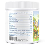 Nordic Naturals Nordic Berries Multivitamin Gummies, 120 Gummy Berries